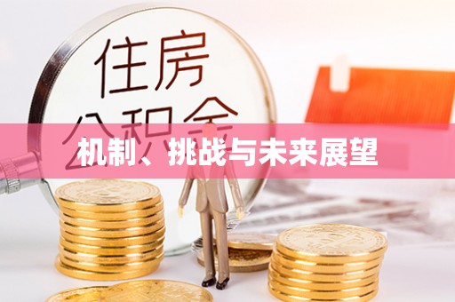 泉港机制、挑战与未来展望